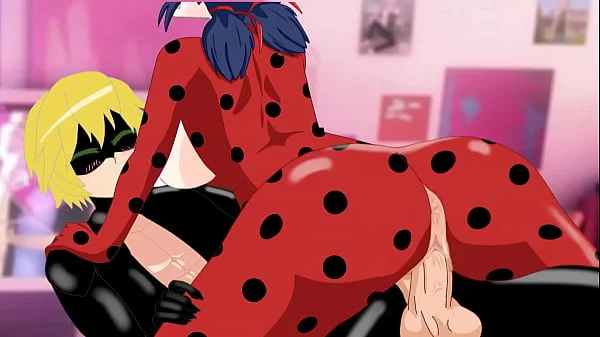 Ladybug X Cat noir