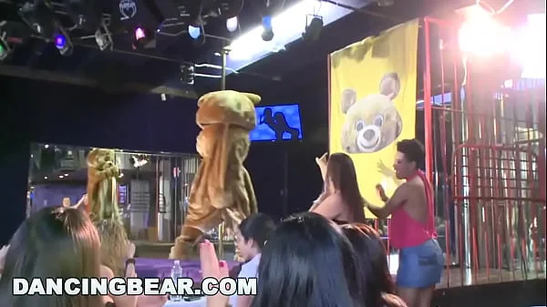 DANCING BEAR - Real Women Sucking Dick And Partying With Big Dick Male Strippers